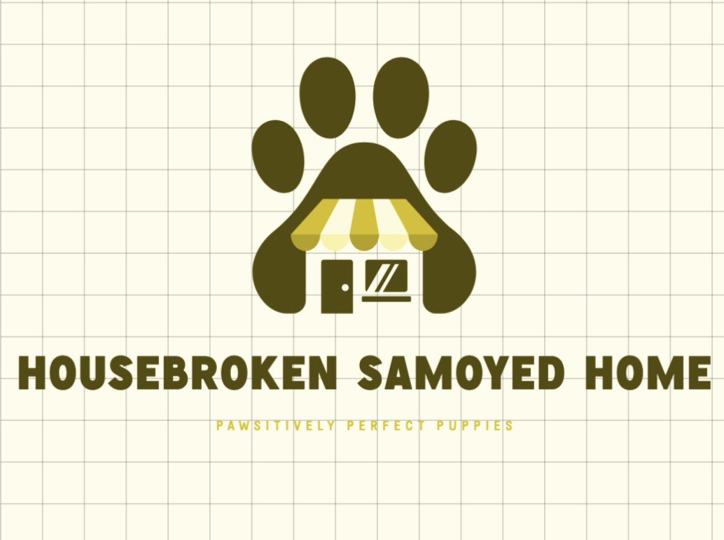 Housebroken Samoyed Puppies